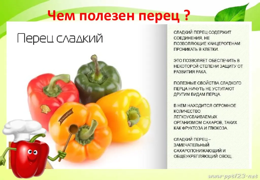 Сладкий красный перец: обзор сортов длинного перца с фото, описанием и отзывами