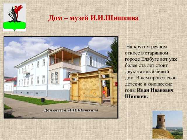 Белый гриб – царь среди грибов