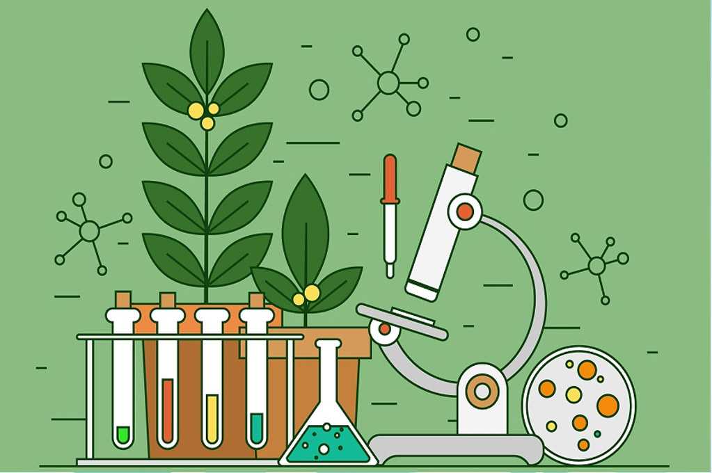 Почему мне нравится предмет биология. как учить биологию. сочинение «биология – мой любимый предмет»