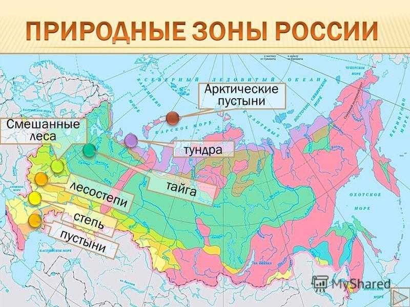 Природные зоны России очень разнообразны, что объясняется большой протяженностью России с севера на юг и преобладанием равнинного рельефа Наиболее крупной является зона лесов, которая занимает около 60% площади страны,