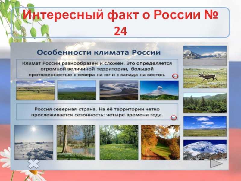 Интересные факты о странах мира: 40 особенностей стран и городов — staff-online