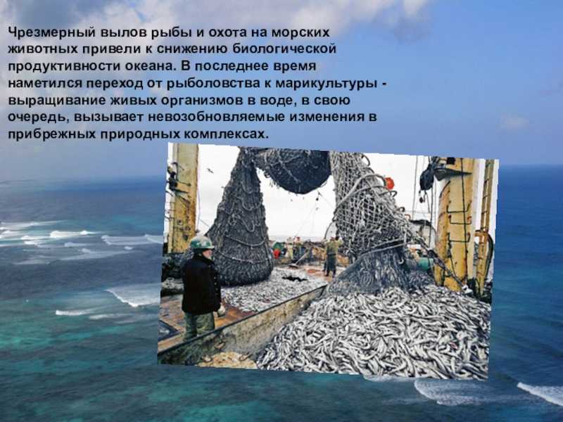 Экологические тихого океана. Охотское море рыболовство. Охотское море рыбный промысел. Промысел в мирового океана. Экологические проблемы морей.