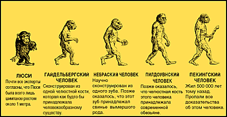 Теория эволюции дарвина. 7 мифов о дарвине, его теории и вере.