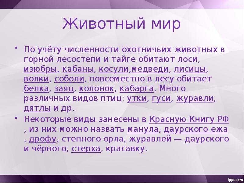25 интересных фактов о чите
