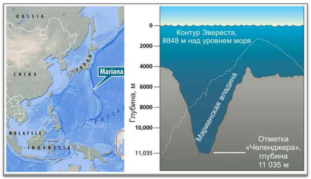 Марианская впадина — глубина, дно, где находится, фото, обитатели, погружение, тихий океан, рыбы - 24сми
