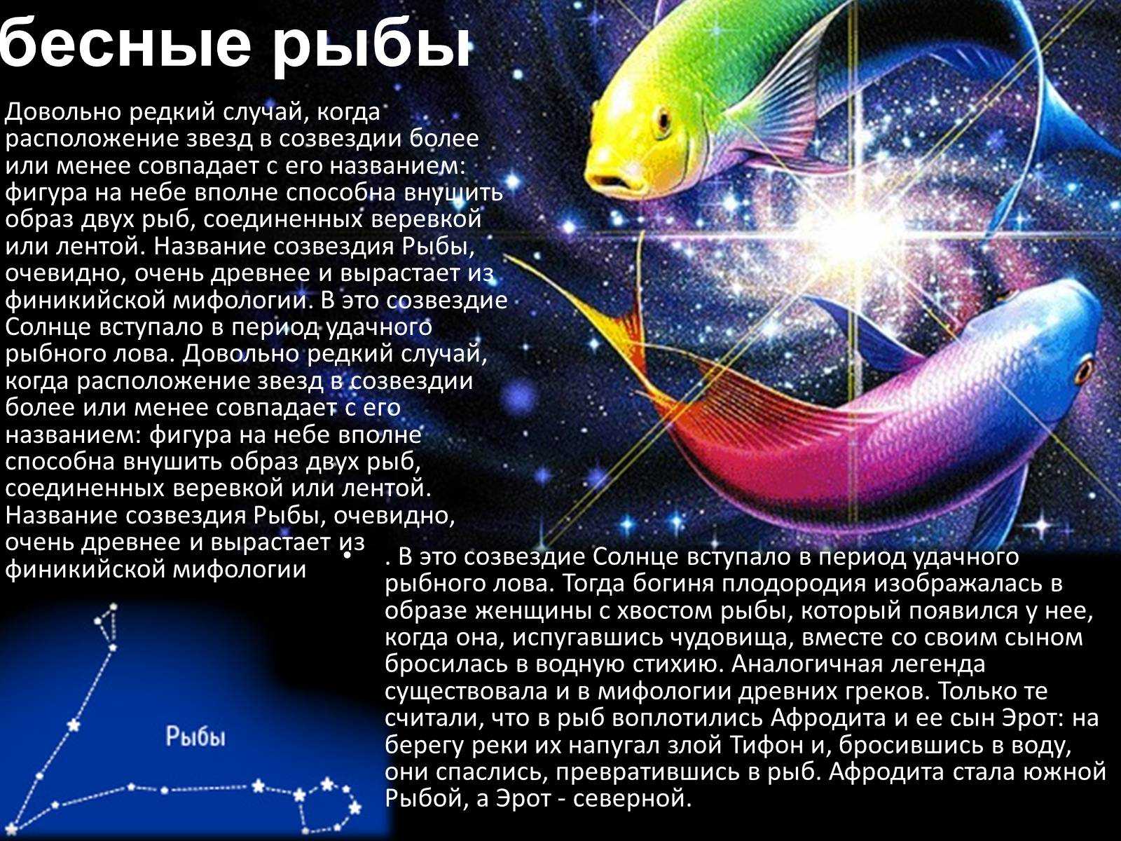 Зодиакальные созвездия: откуда они появились и зачем | научно популярный журнал sciencepop