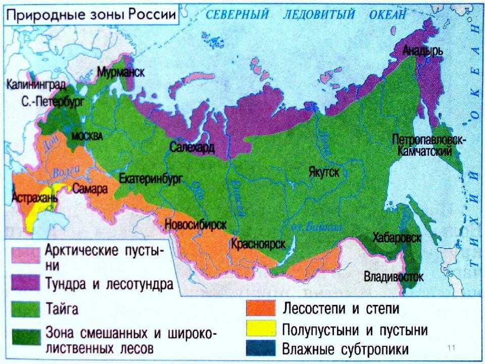 Природные зоны россии