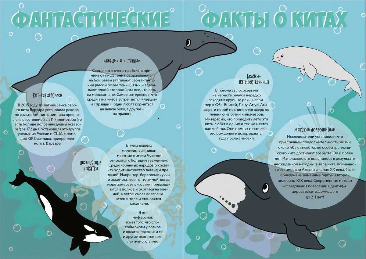 36 интересных фактов о ките харингтоне
