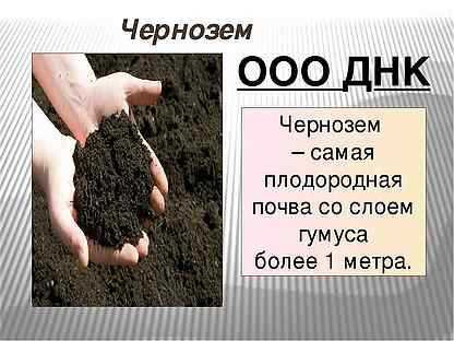 Василий докучаев: биография и достижения