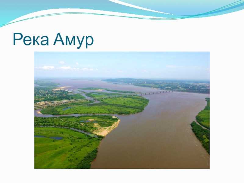 Река амур рисунок