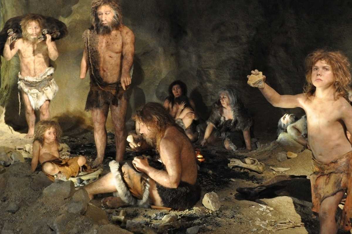 Путь к homo sapiens. от истоков до x тысячелетия до н.э. | портал дамира шамарданова