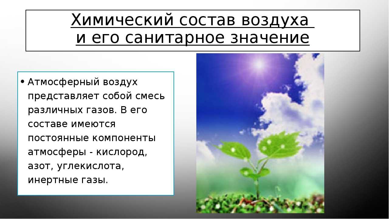 Эссе на тему земля наш дом. доклад: земля
