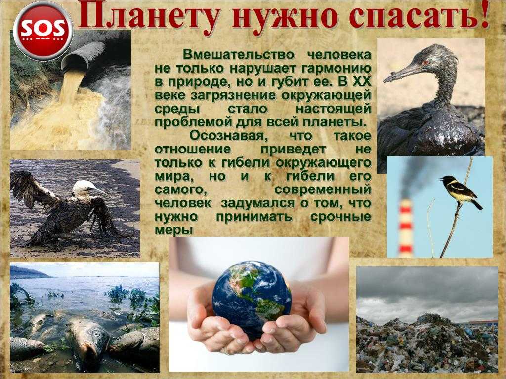 Презентация на тему жизнь под угрозой биология 5 класс