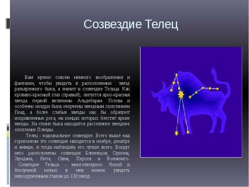 Созвездие тельца презентация астрономия