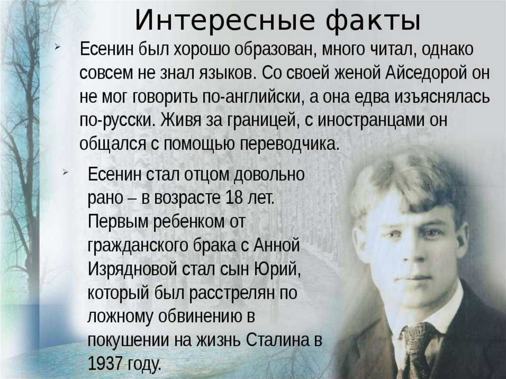 Презентации про поэтов