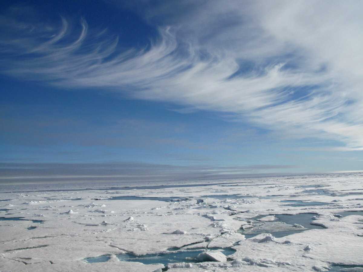 Северный - ледовитый океан