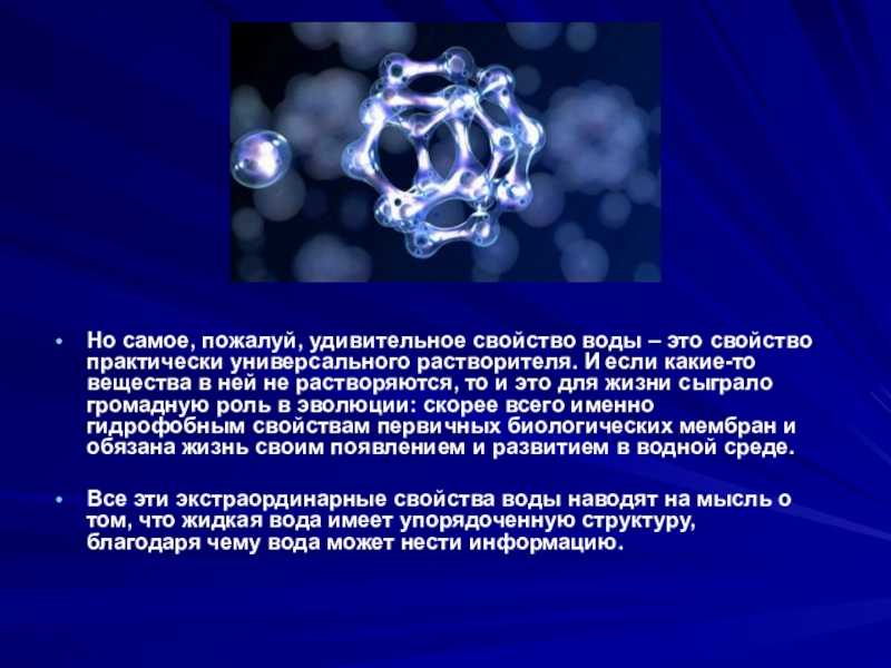 Характеристика морей и океанов