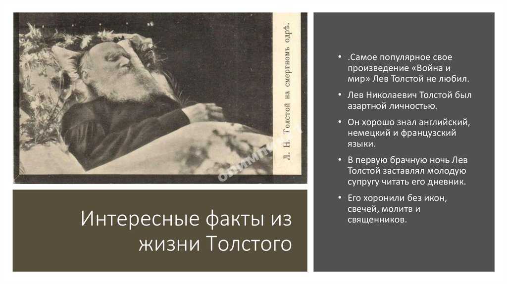 Лев толстой - 30 самых интересных фактов из личной жизни