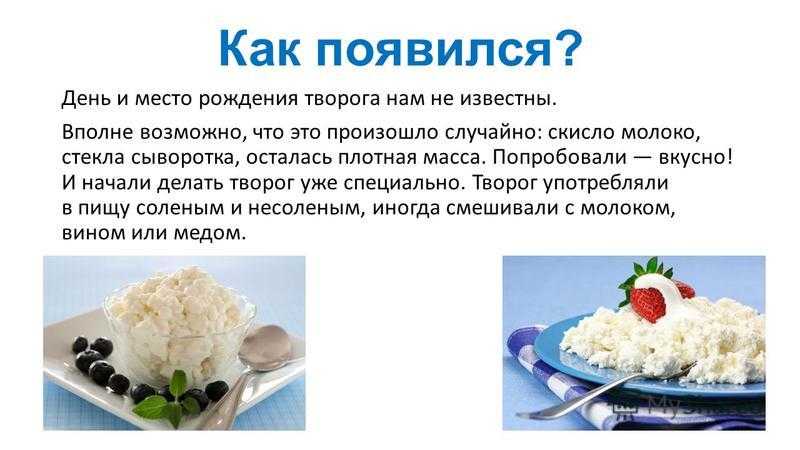 Молоко и молочные продукты. польза молочных продуктов :: syl.ru