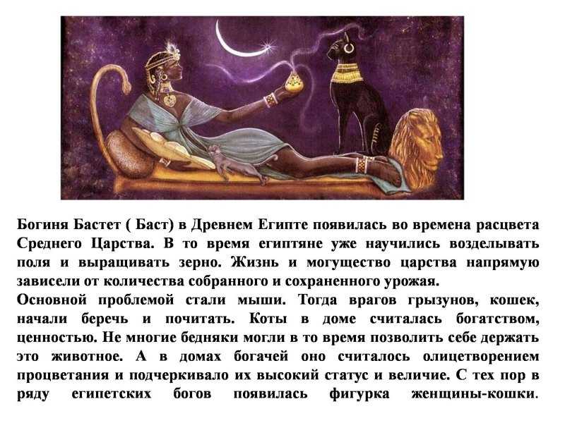 Как в древнем египте почитали кошек и почему считали их божественными созданиями на мягких лапах
