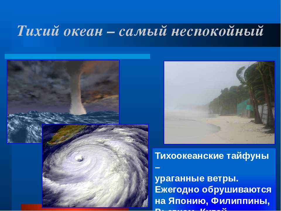 Тихий океан - общие характеристики и особенности органического мира