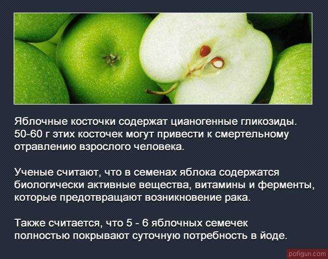 Какие витамины содержатся в яблоках: польза, микроэлементы