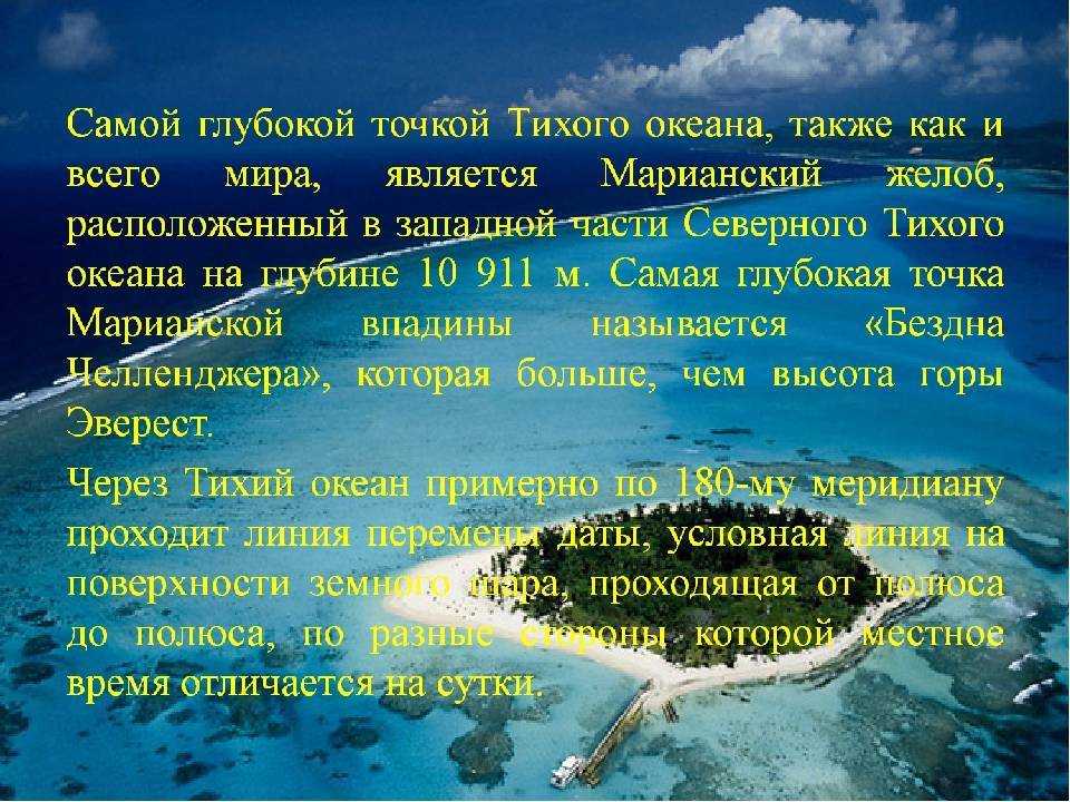 Морские обитатели и интересные факты о них. подводный мир :: syl.ru