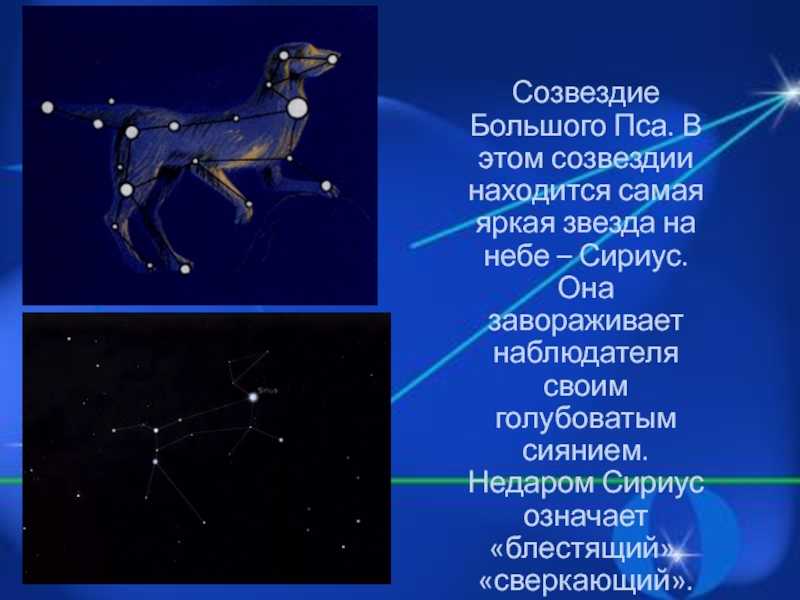 Сириус - самая яркая звезда в ночном небе