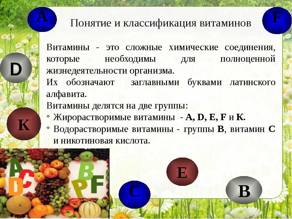 Самое интересное о витаминах c, а, в, е, к: где прячутся, от чего разрушаются и как лучше сохраняются - новости yellmed.ru