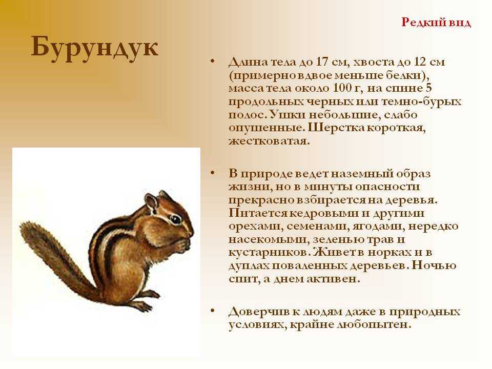 Грибковые инфекции кожи