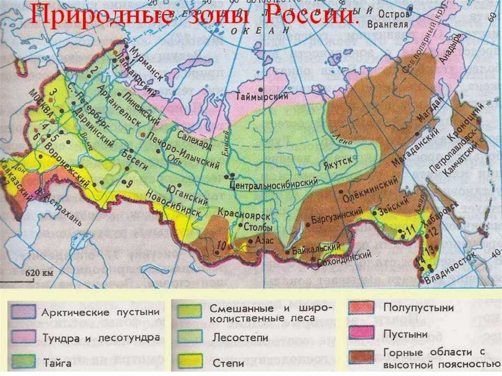 Самые большие равнины россии: топ-10 наиболее крупных на земле