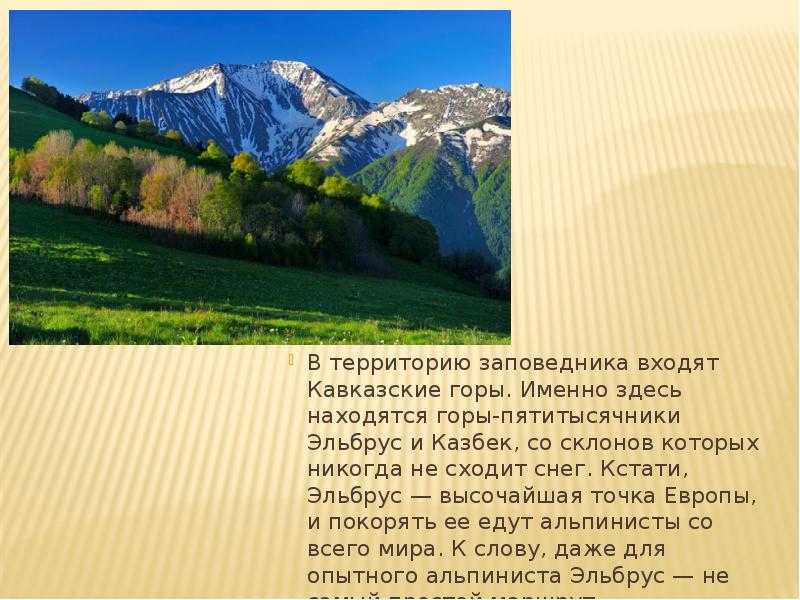 Интересные факты о кавказских горах, расположение, климат, флора и фауна, города и страны