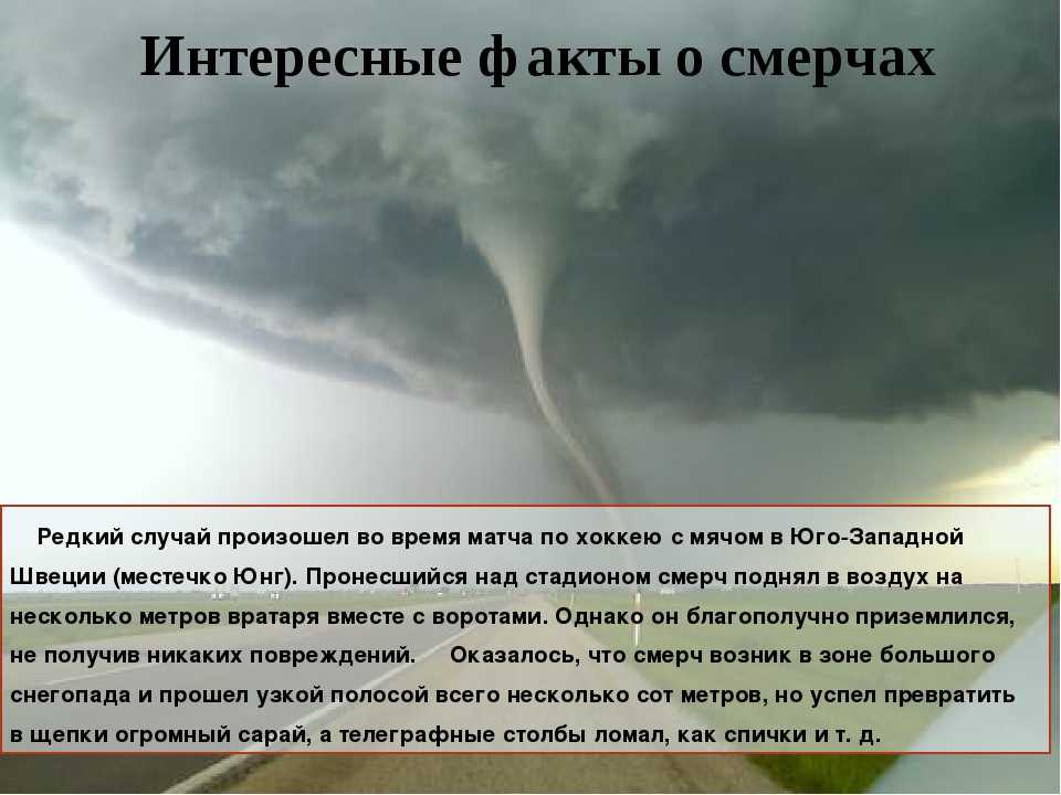 Молния и гроза. описание, фото, причины и последствия
