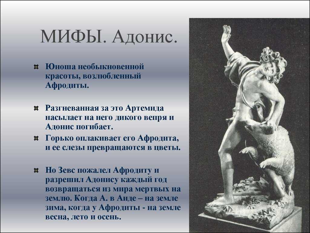 Особенности античной мифологии. Адонис миф. Адонис Бог древней Греции. Адонис мифы древней Греции. Адонис Греческая мифология.