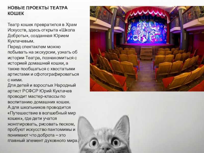 Перед спектаклем. Театр кошек Юрий куклачёв презентация. Театр Юрий куклачёв презентация. Театр кошек куклачёва Москва. Театр Юрия Куклачева зал.