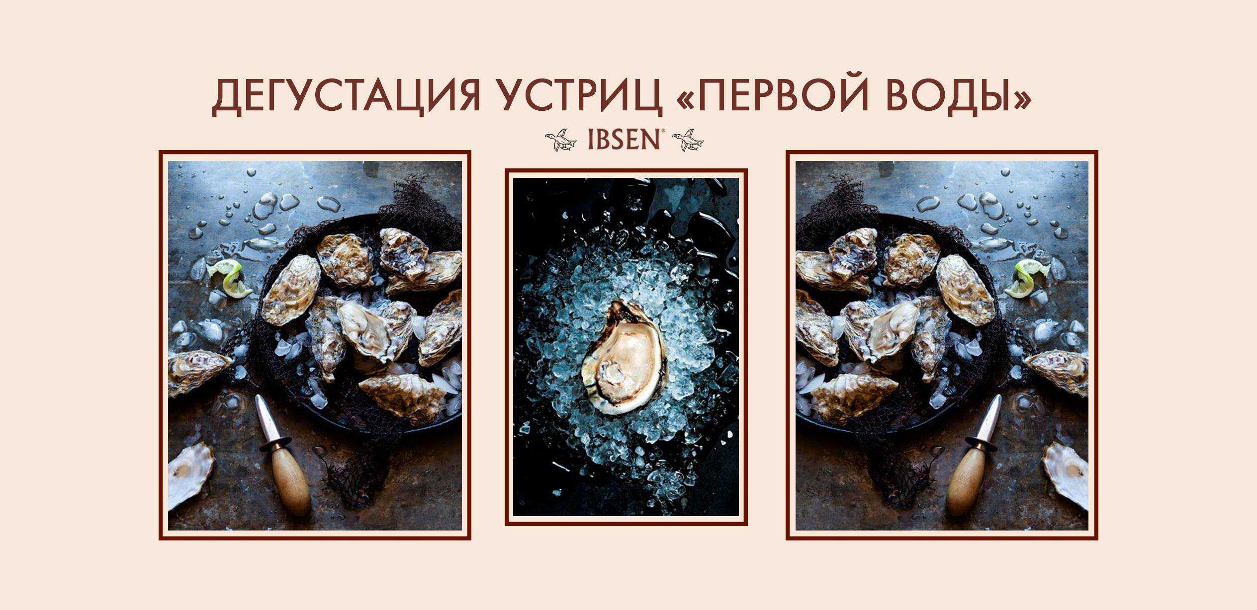 Устрицы — группа двустворчатых моллюсков