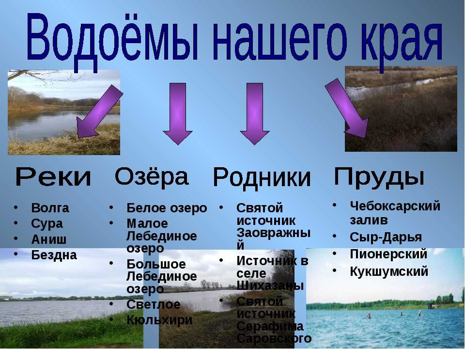 Примеры рек и озер. Какие водоёмы есть в Россие. Водоëмыкраснадарского края. Водоемы нашего края 2 класс. Искусственные водоемы Краснодарского края.