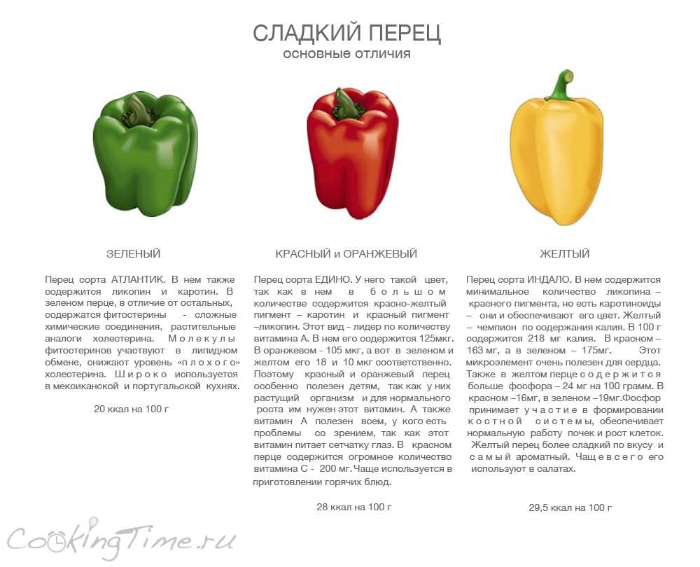 Перец: описание и характеристики овоща
