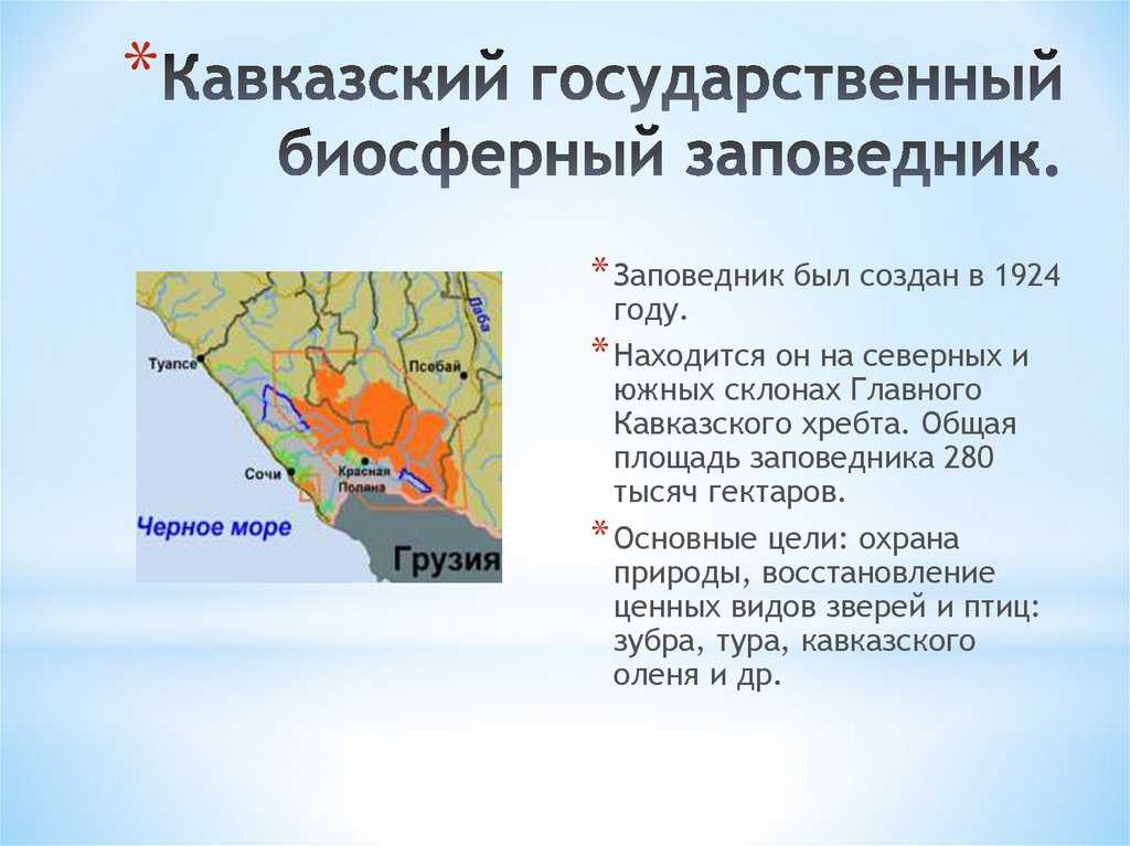 Природа краснодарского края доклад – природа краснодарского края - club-detstvo.ru - центр искусcтв и творчества марьина роща