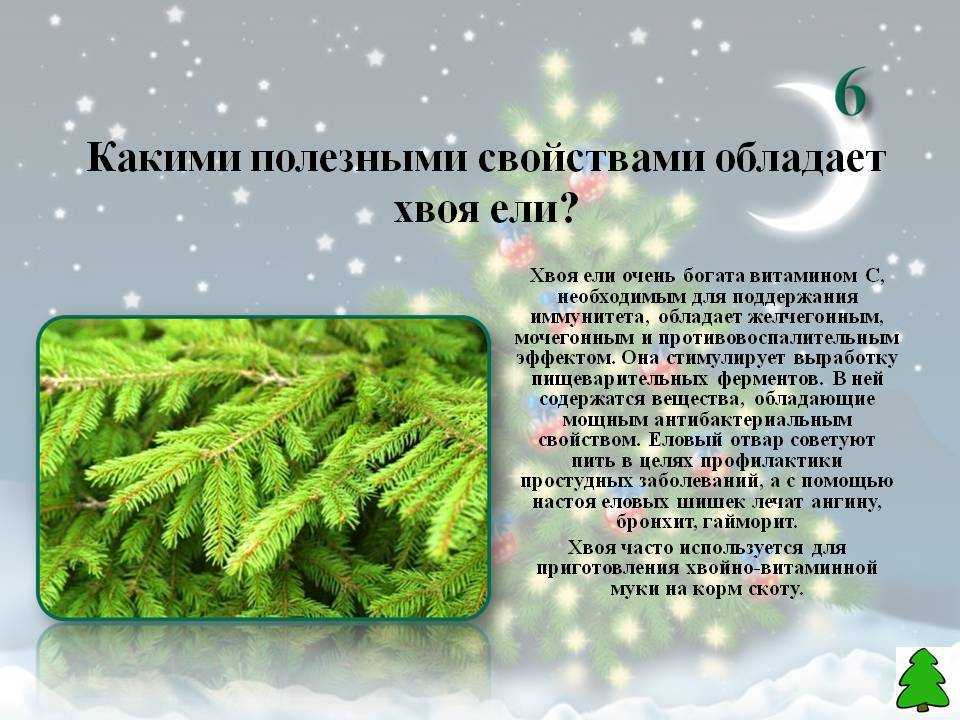 Жизнь леса стр. окружающий мир 4 класс 1 часть